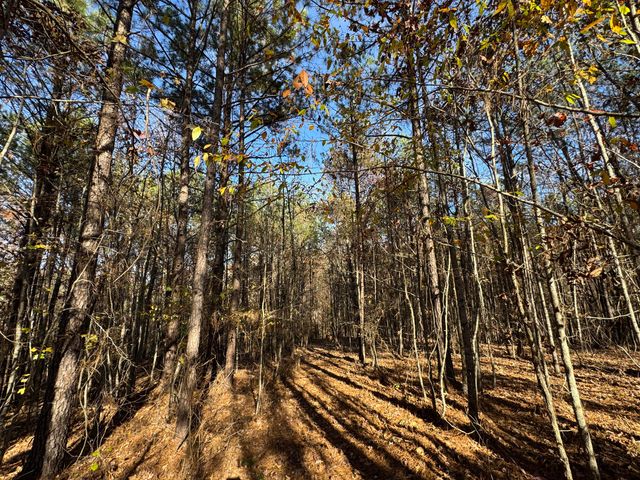 1151 Buckhead Road, Tignall, GA 30668