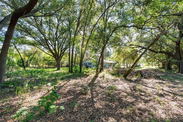 2009 ROBIE AVENUE, Mount Dora, FL 32757