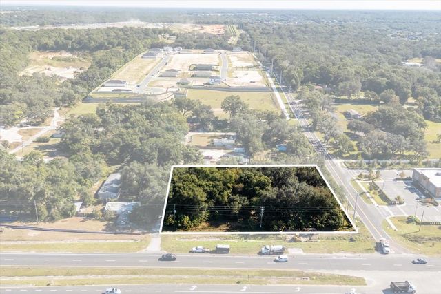 2009 ROBIE AVENUE, Mount Dora, FL 32757