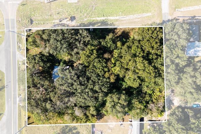 2009 ROBIE AVENUE, Mount Dora, FL 32757