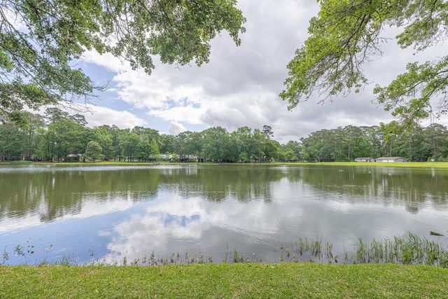 10061 Trailway Drive, Montgomery, TX 77316