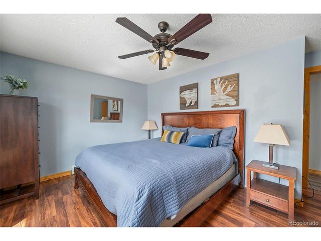 2079 High Creek Rd, Fairplay, CO 80440