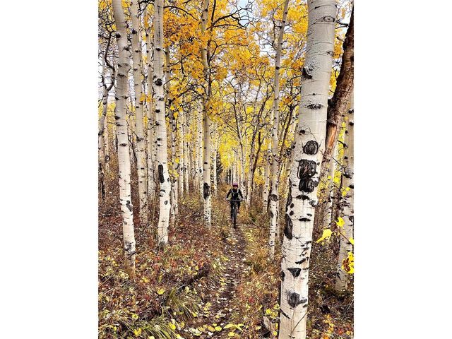 2079 High Creek Rd, Fairplay, CO 80440