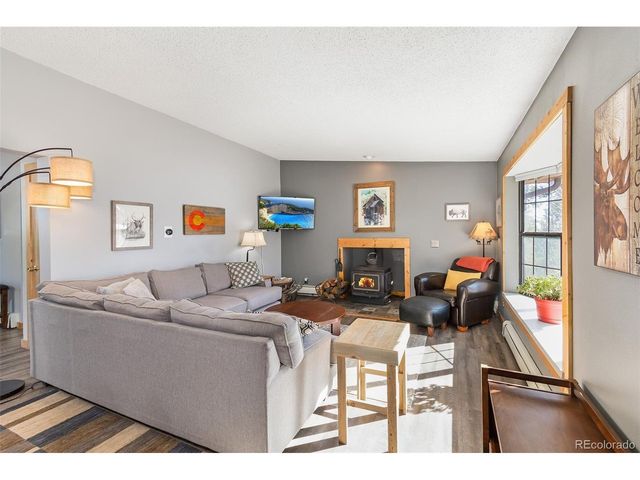 2079 High Creek Rd, Fairplay, CO 80440