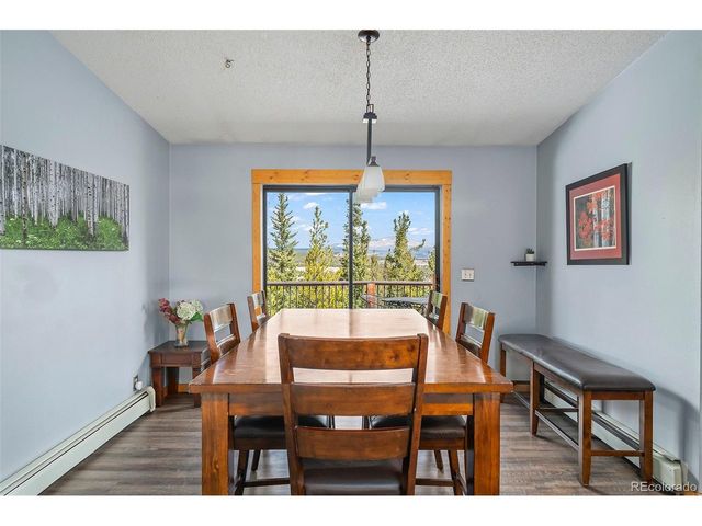 2079 High Creek Rd, Fairplay, CO 80440