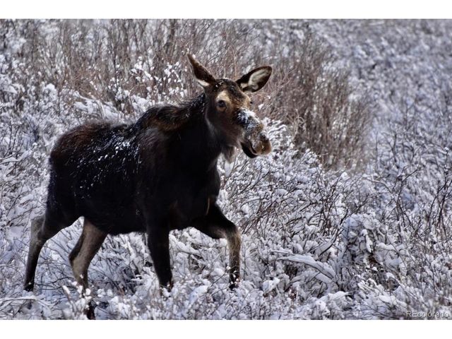 2079 High Creek Rd, Fairplay, CO 80440