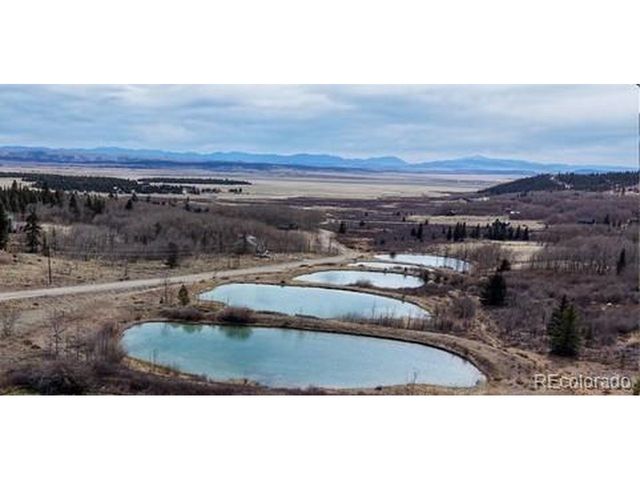 2079 High Creek Rd, Fairplay, CO 80440