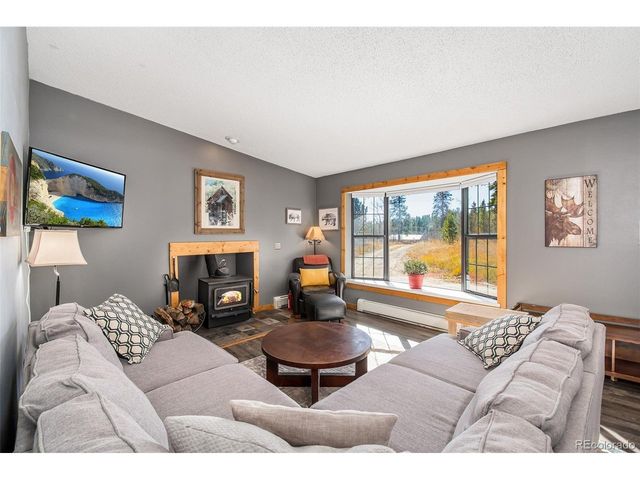2079 High Creek Rd, Fairplay, CO 80440