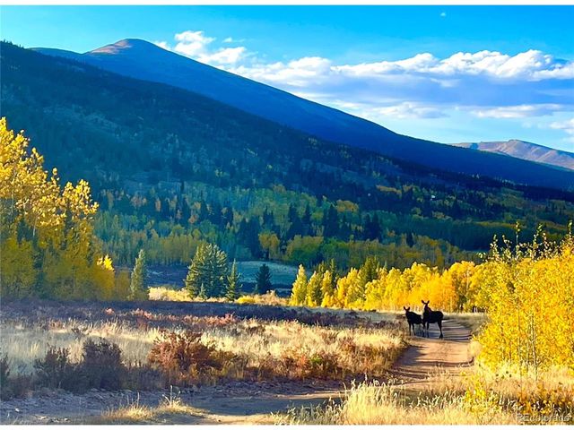 2079 High Creek Rd, Fairplay, CO 80440