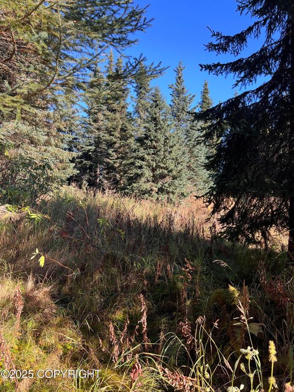 L9 Shegota Loop, Ninilchik, AK 99639