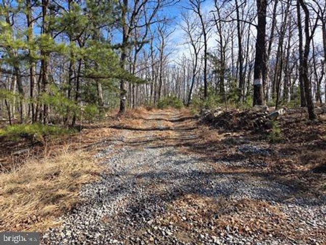 942 WILD BOAR RD, Augusta, WV 26704
