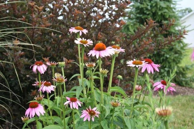 2252 Highlander Drive, Warsaw, IN 46580