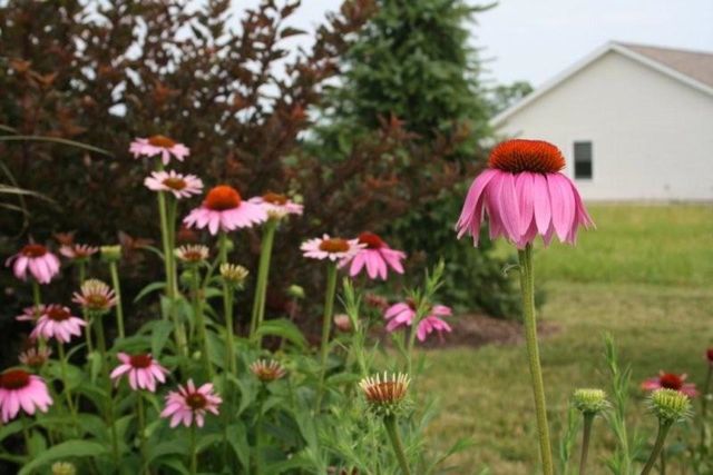 2252 Highlander Drive, Warsaw, IN 46580