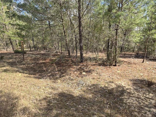 206 WALES STREET, Interlachen, FL 32148