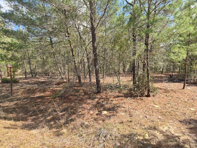 206 WALES STREET, Interlachen, FL 32148