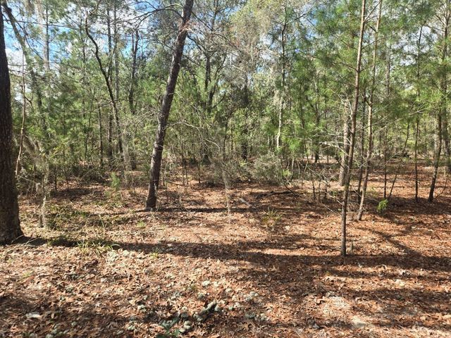 206 WALES STREET, Interlachen, FL 32148