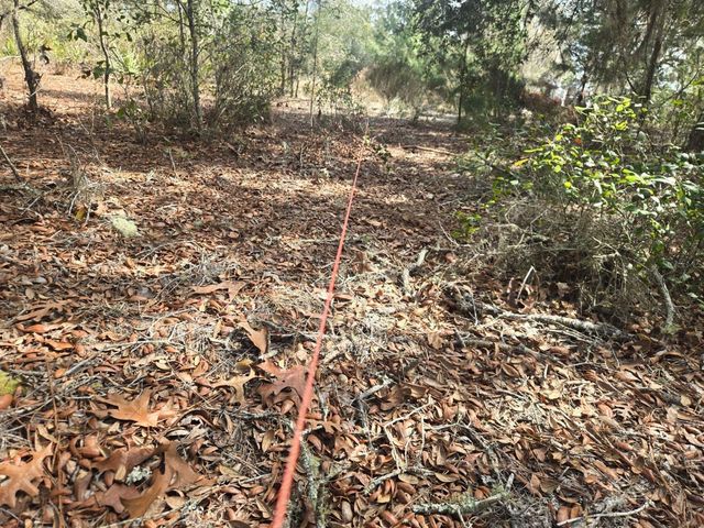 206 WALES STREET, Interlachen, FL 32148