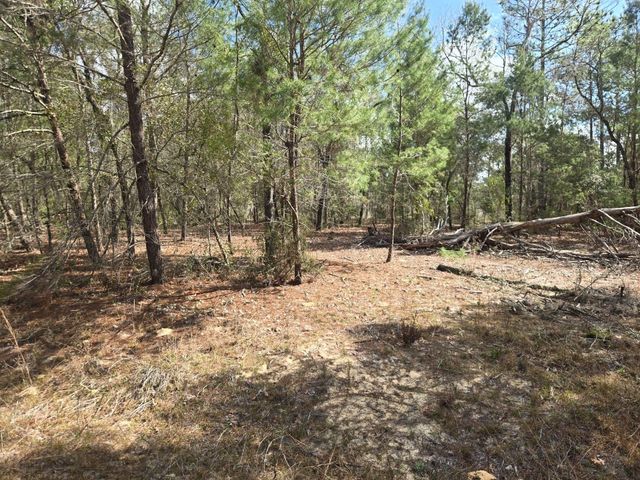 206 WALES STREET, Interlachen, FL 32148