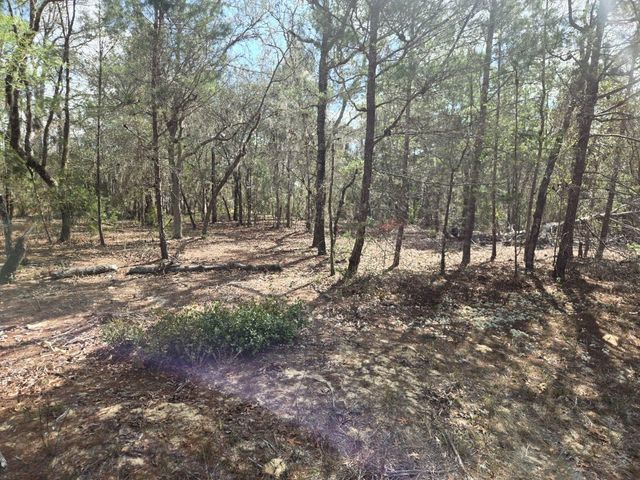 206 WALES STREET, Interlachen, FL 32148