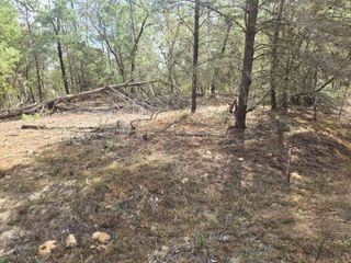 206 WALES STREET, Interlachen, FL 32148