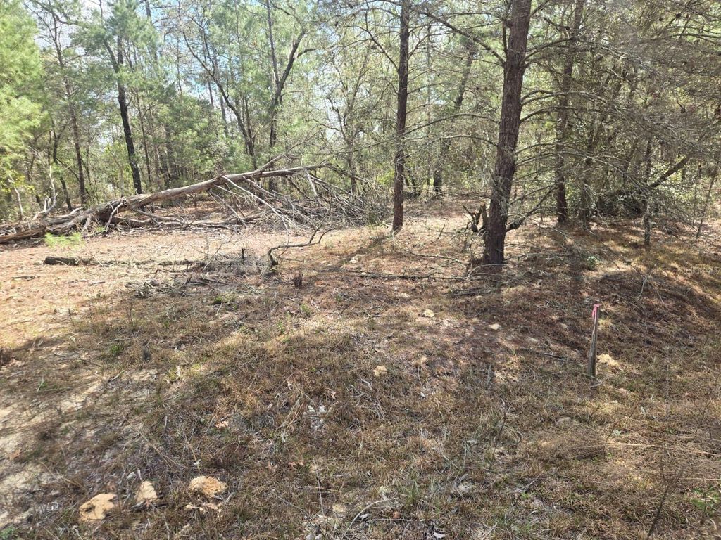 206 WALES STREET, Interlachen, FL 32148