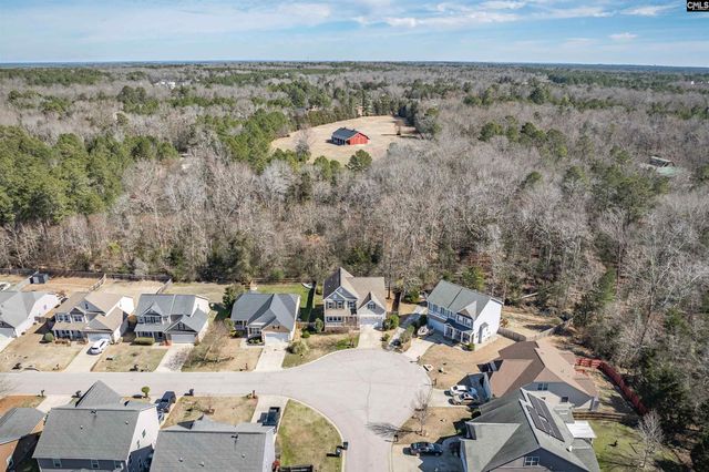 260 Eagle Pointe Drive, Chapin, SC 29036