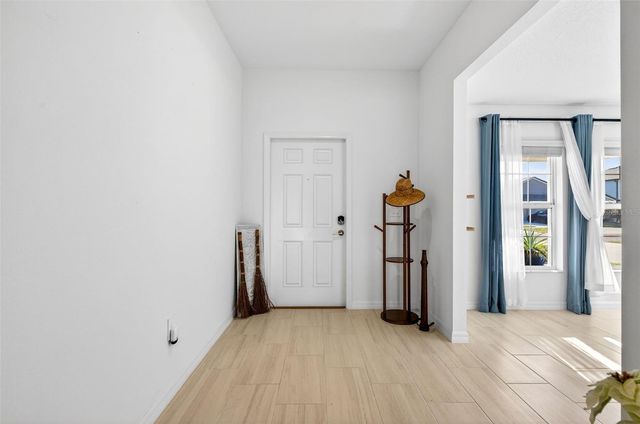 15217 ZIRCON RED DRIVE, Wimauma, FL 33598