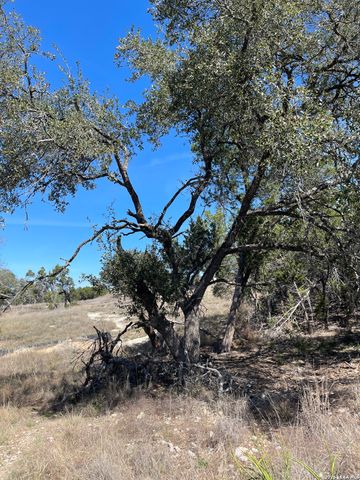 2219 Hiline, Bulverde, TX 78163