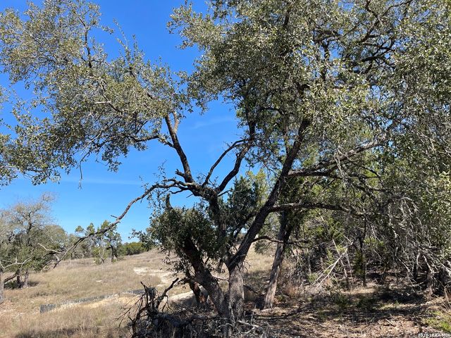 2219 Hiline, Bulverde, TX 78163