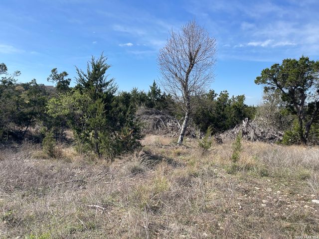 2219 Hiline, Bulverde, TX 78163