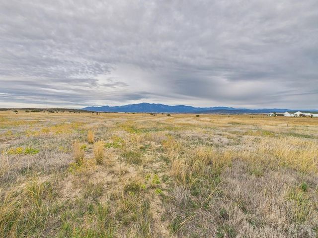 6601 Pickney Rd, Rye, CO 81069