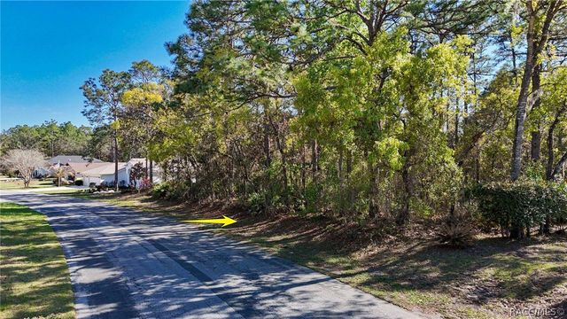 20 Hawthorne Court, Homosassa, FL 34446