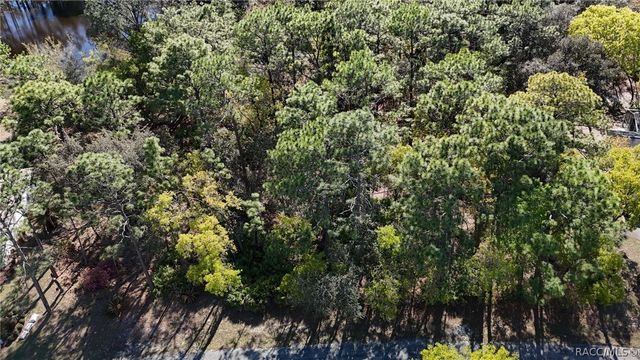 20 Hawthorne Court, Homosassa, FL 34446