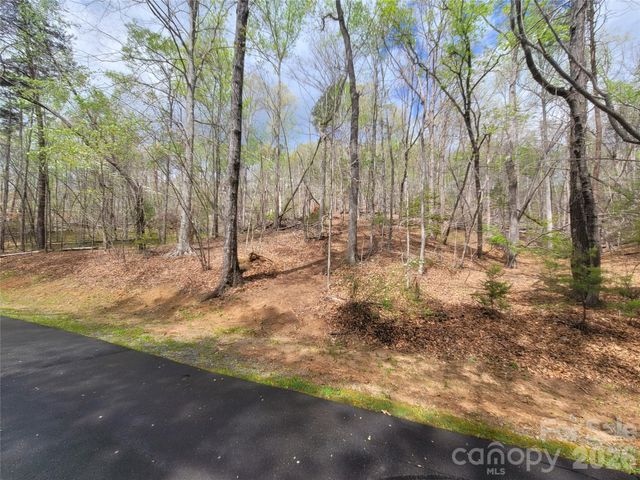 0 Springhill Drive, Rutherfordton, NC 28139