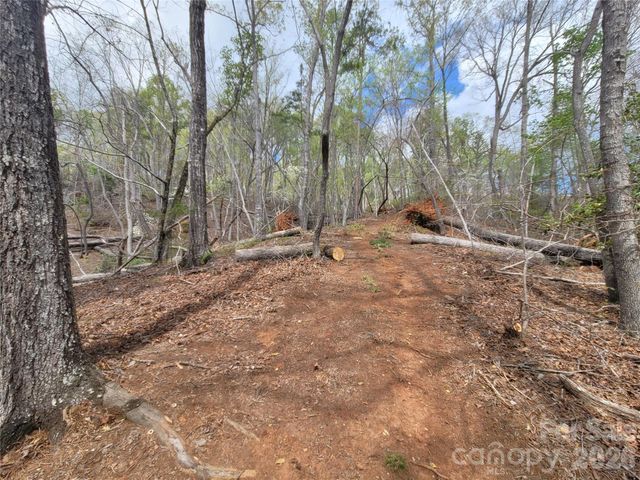 0 Springhill Drive, Rutherfordton, NC 28139