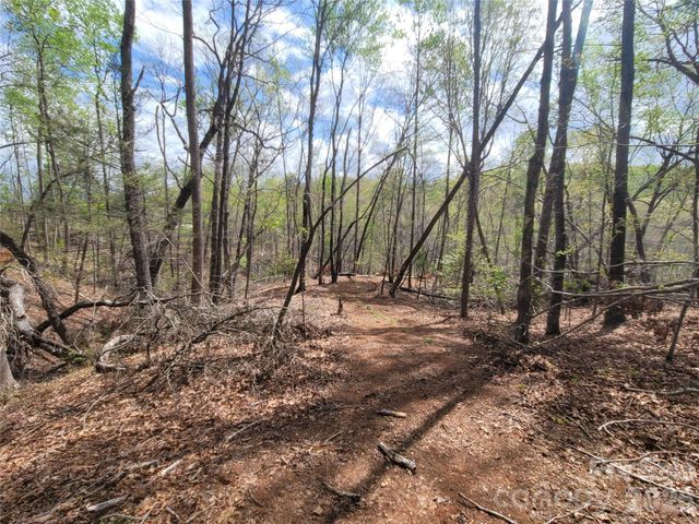 0 Springhill Drive, Rutherfordton, NC 28139