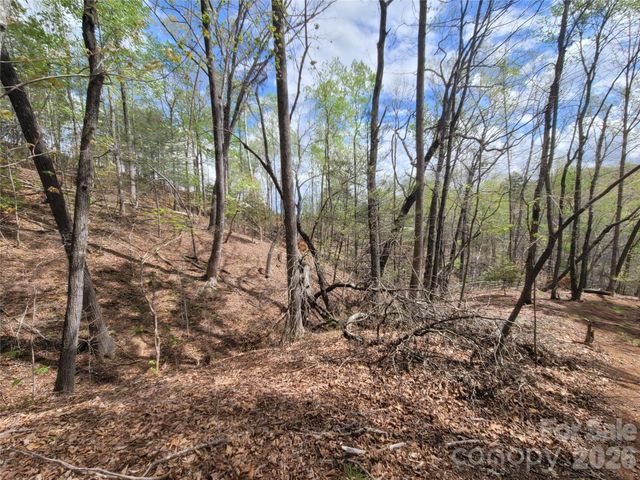 0 Springhill Drive, Rutherfordton, NC 28139