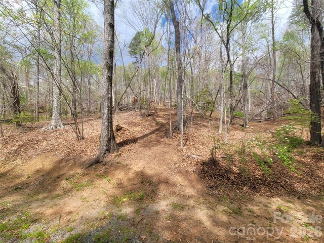 0 Springhill Drive, Rutherfordton, NC 28139