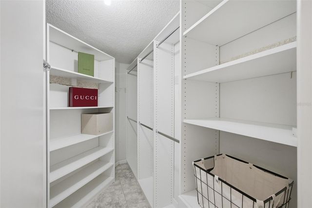 5903 BIRCHWOOD DRIVE, Tampa, FL 33625