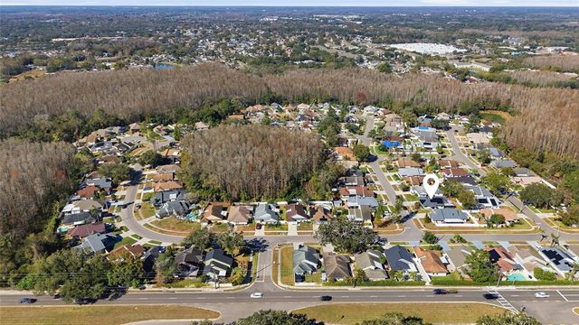 5903 BIRCHWOOD DRIVE, Tampa, FL 33625