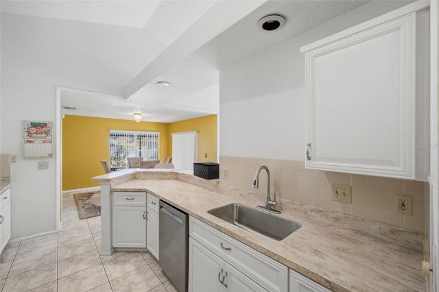 5903 BIRCHWOOD DRIVE, Tampa, FL 33625