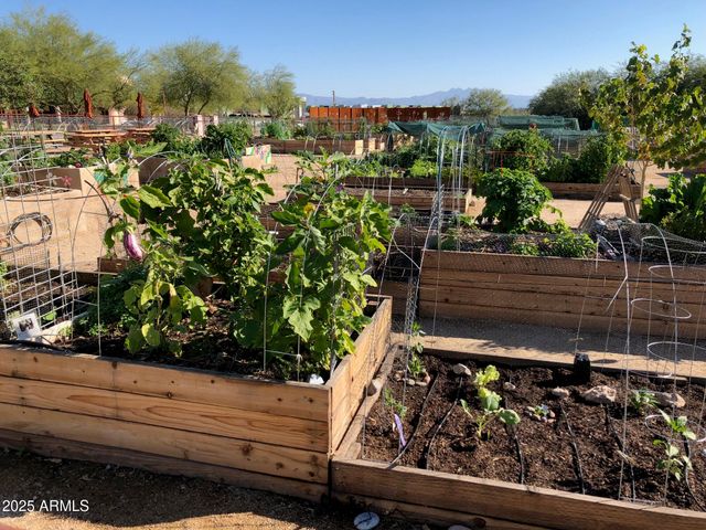 16800 E EL LAGO Boulevard 2054, Fountain Hills, AZ 85268