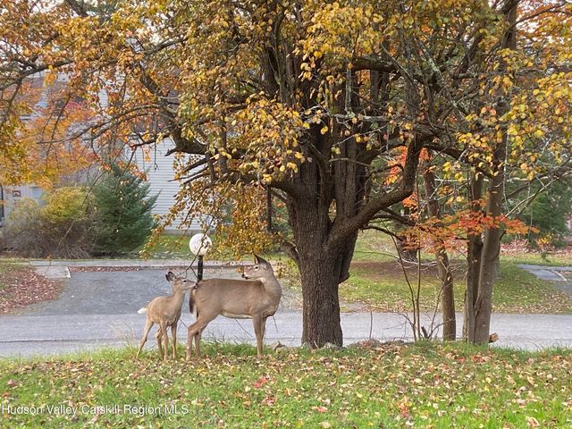 113 Windham Ridge Road, Windham, NY 12496