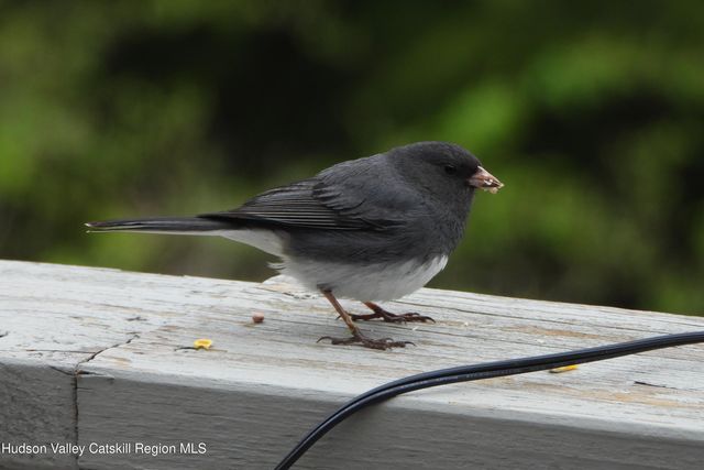 113 Windham Ridge Road, Windham, NY 12496