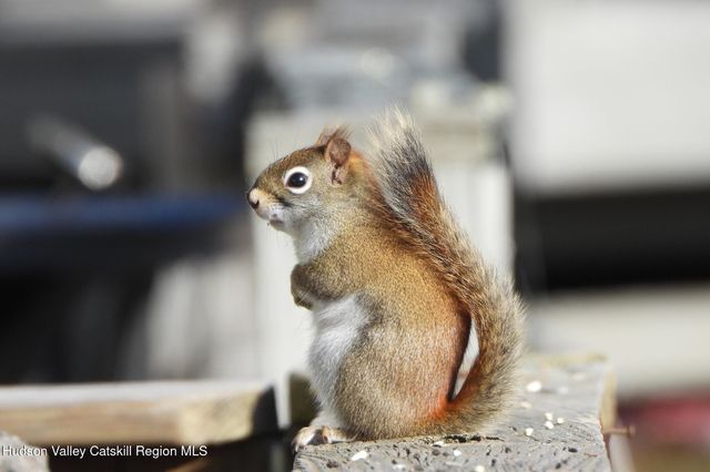 113 Windham Ridge Road, Windham, NY 12496