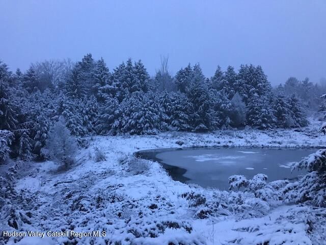 113 Windham Ridge Road, Windham, NY 12496