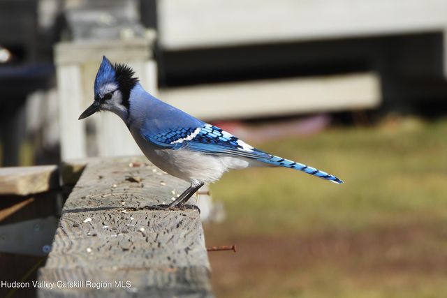 113 Windham Ridge Road, Windham, NY 12496