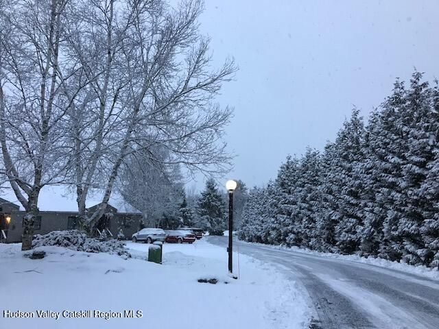 113 Windham Ridge Road, Windham, NY 12496