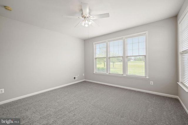 30 AMANDAS TEAL DR, Bridgeville, DE 19933