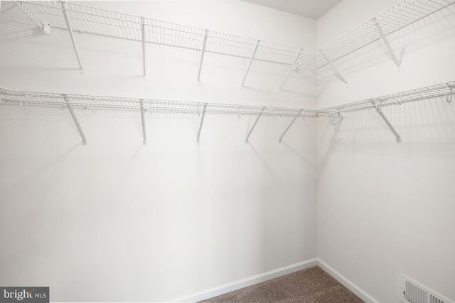 30 AMANDAS TEAL DR, Bridgeville, DE 19933